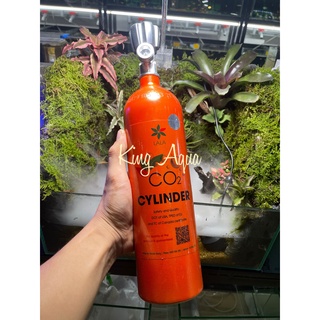 Bình CO2 full khí cung cấp cho bể thủy sinh