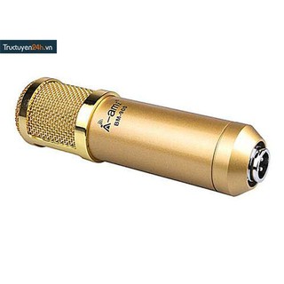 Micro thu âm AMI BM900
