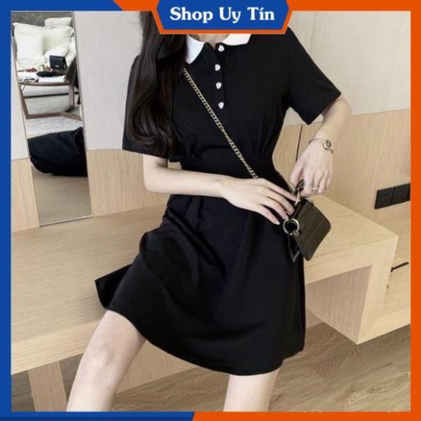 Váy Polo Nữ  Dáng Suông Cao Cấp Đầm Thun Ôm Body Đi Dự Tiệc Cưới Công Sở Đi Chơi Hàn Quốc Sang Trọng VD037