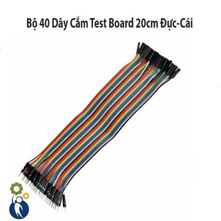 Bộ 40 Dây Cắm Test Board Chiều Dài 20cm