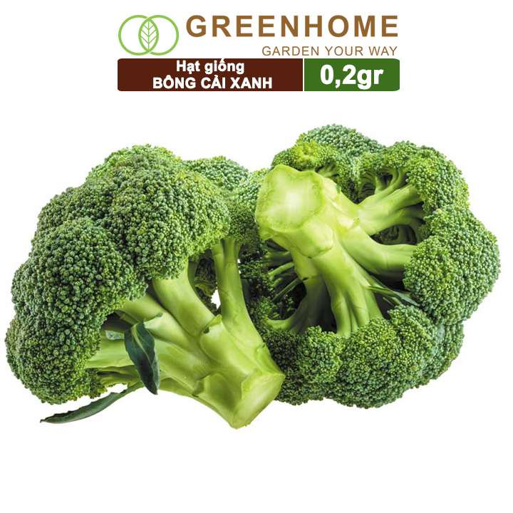 Hạt giống Súp lơ xanh Greenhome, gói 0,2gr, bông cải xanh, dinh dưỡng, dễ trồng T10