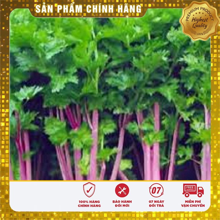 Hạt giống Cần Tây đỏ dinh dưỡng ( 2 Gram )