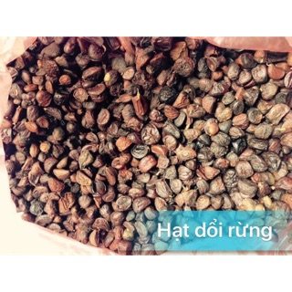 Hạt dổi rừng ,hạt rằm 100g