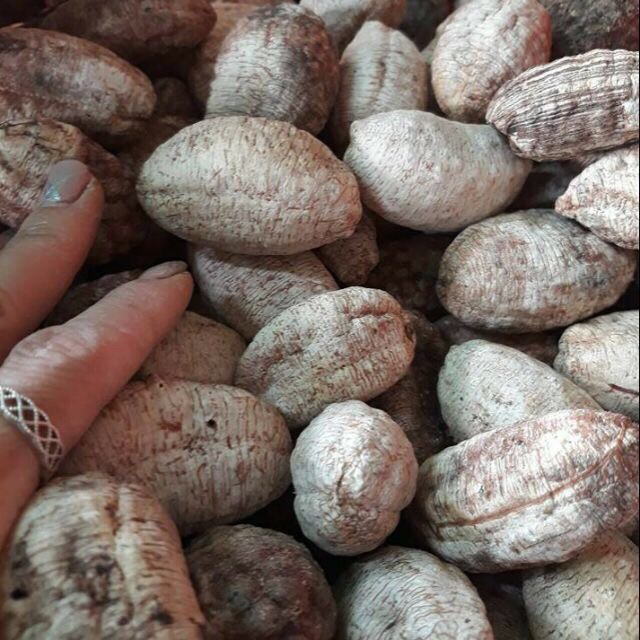 1 Kg chuối hột rừng sấy khô đặc sản Tây bắc