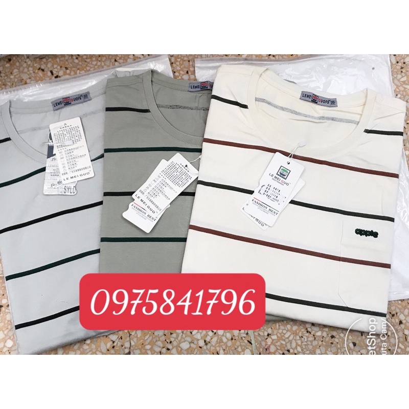 Áo phông cộc tay cổ tròn nam trung niên chất đẹp có size 90kg
