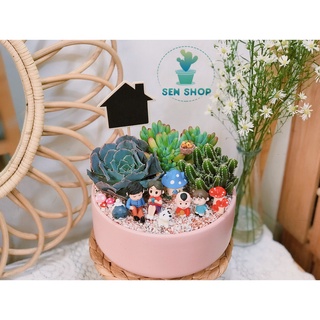 Chậu men trồng cây ( trụ thấp màu pastel)
