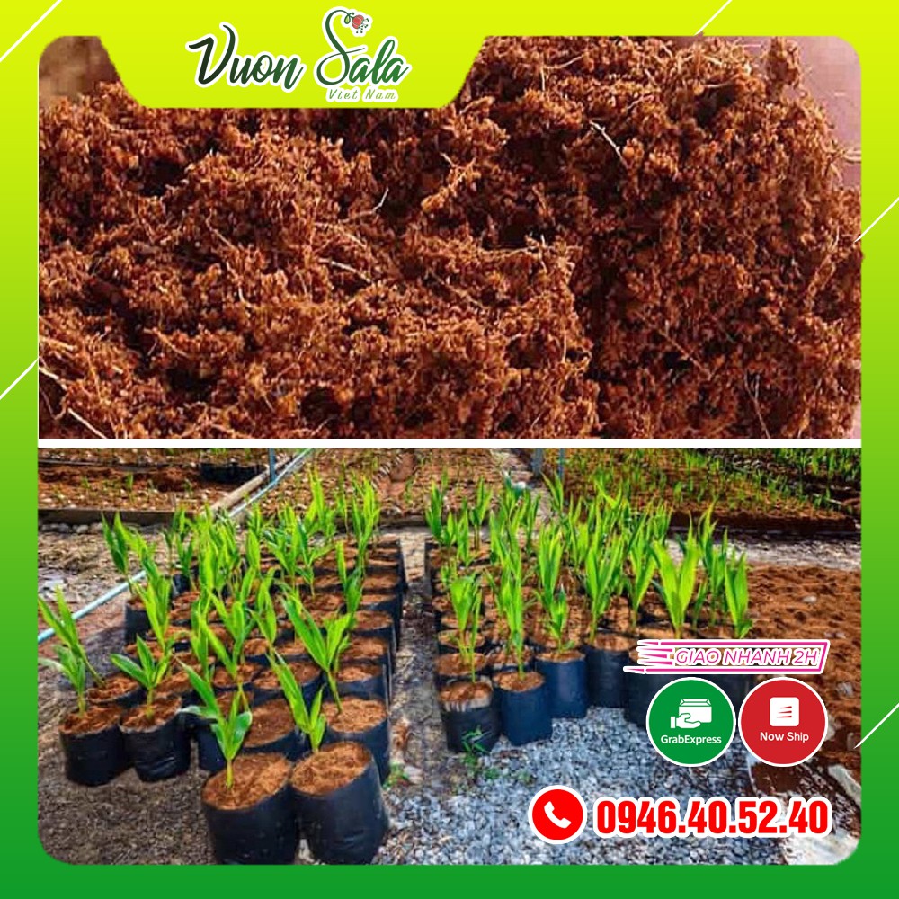 Sơ dừa trồng cây trồng rau 1kg