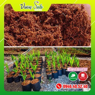 Sơ dừa trồng cây trồng rau 1kg