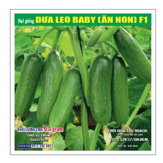 [KM ĐỒNG GIÁ] HẠT GIỐNG CỦ QUẢ