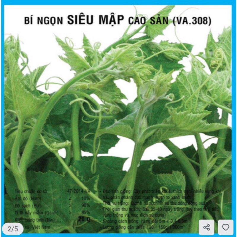 HẠT GIỐNG BÍ SIÊU NGỌN CAO SẢN 20GR