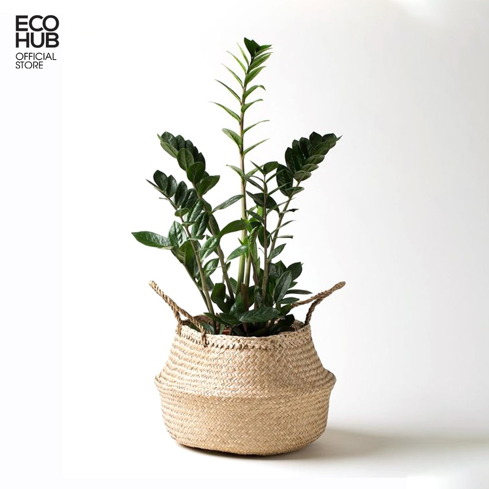 Giỏ cói ECOHUB Trồng cây / Đựng quần áo / Trang trí (Nhiều Size: 20-40cm) | EH028