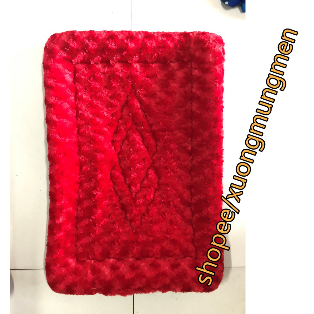 Thảm Lau Chân Cao Cấp Nhung Tuyết 35x50 Siêu Êm, Chống Trượt