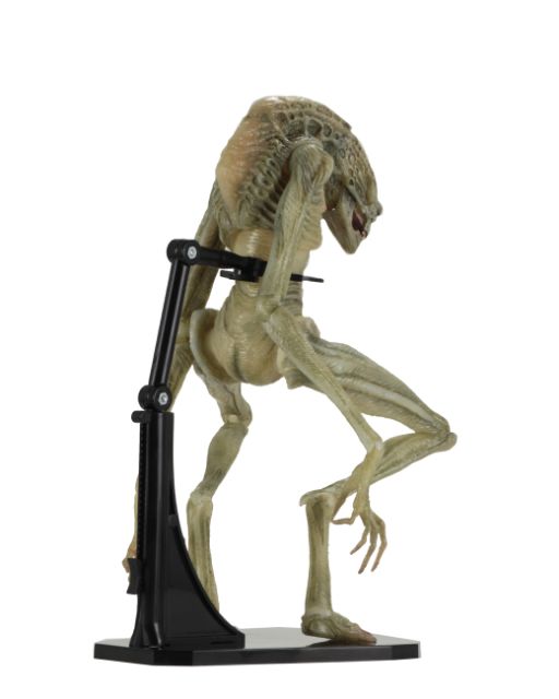 Mô hình Neca Deluxe Alien Newborn