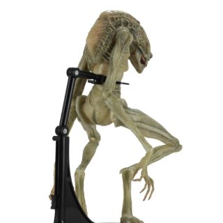Mô hình Neca Deluxe Alien Newborn