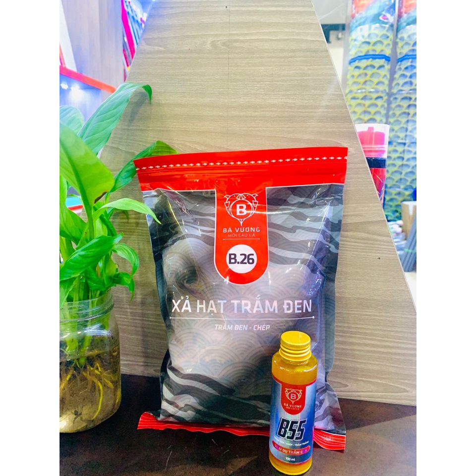 Xả hạt trắm đen B26 + B55 mồi câu cá Bá Vương...