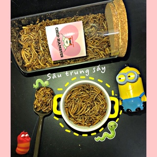 Sâu trung rang bơ (Hamster)