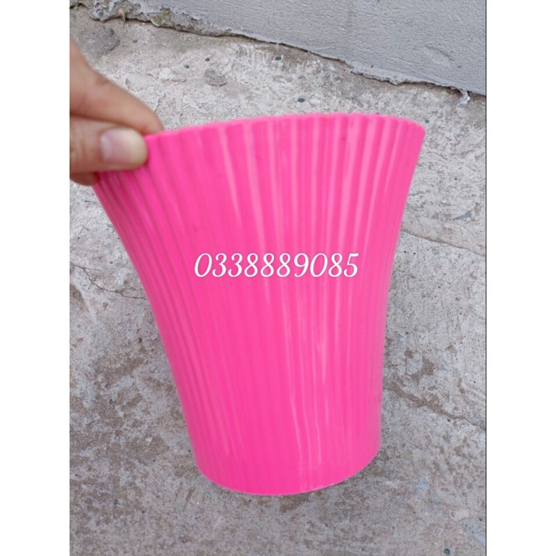 Chậu nhựa nữ hoàng trồng cây derco siêu đẹp, video, hàng sẵn kho