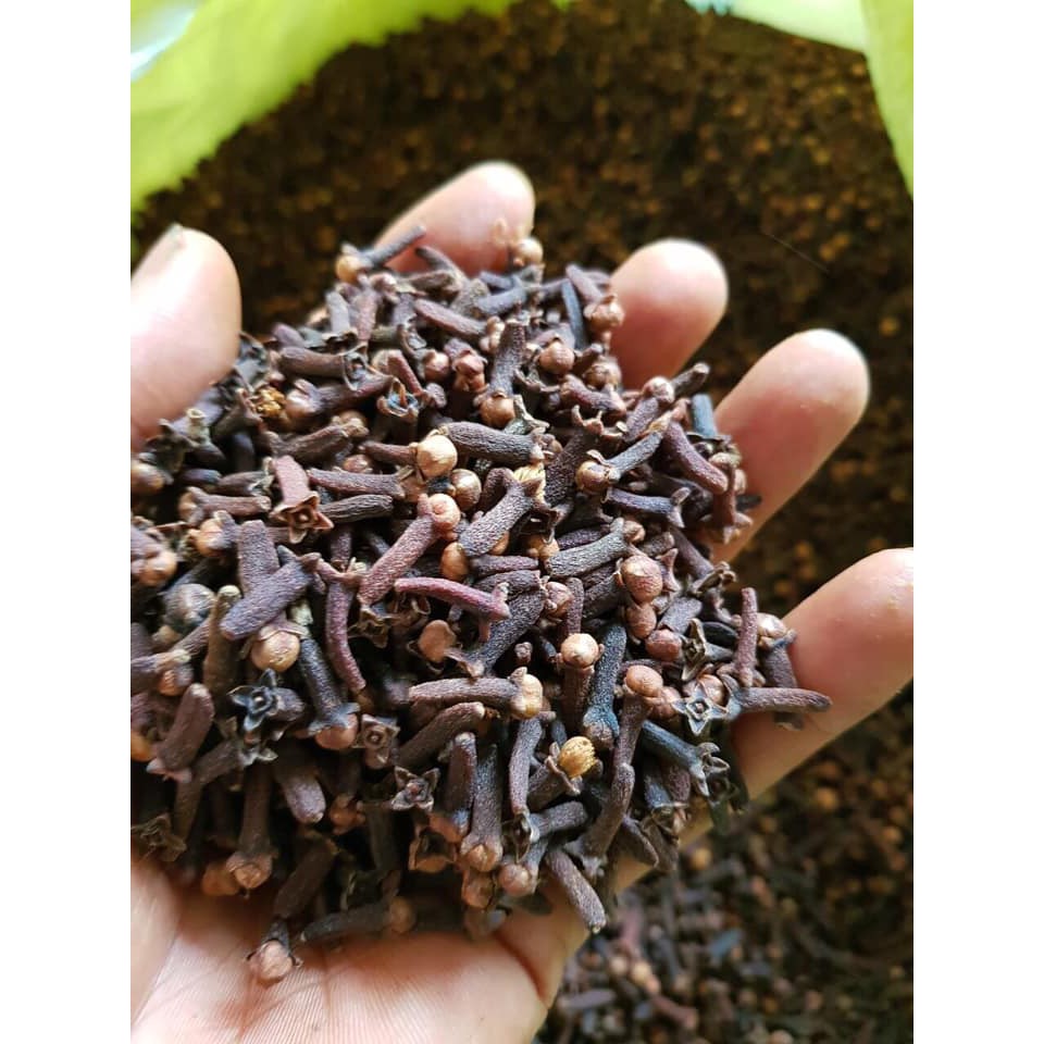NỤ ĐINH HƯƠNG LOẠI 1 - DÙNG NẤU ĂN LÀM BÁNH