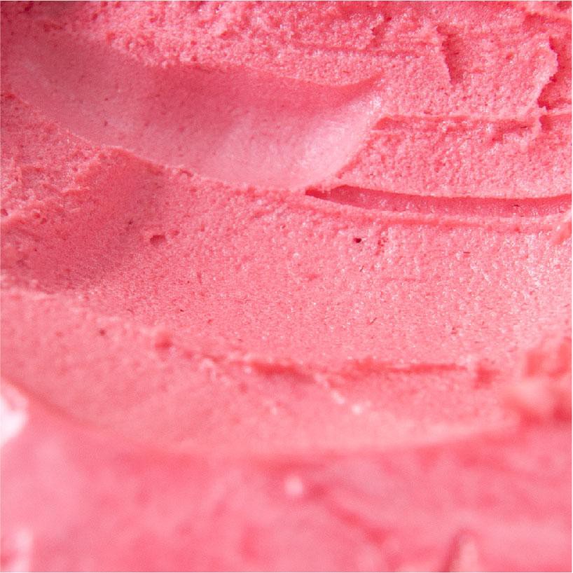 SPECIAL. Raspberry Sorbet
