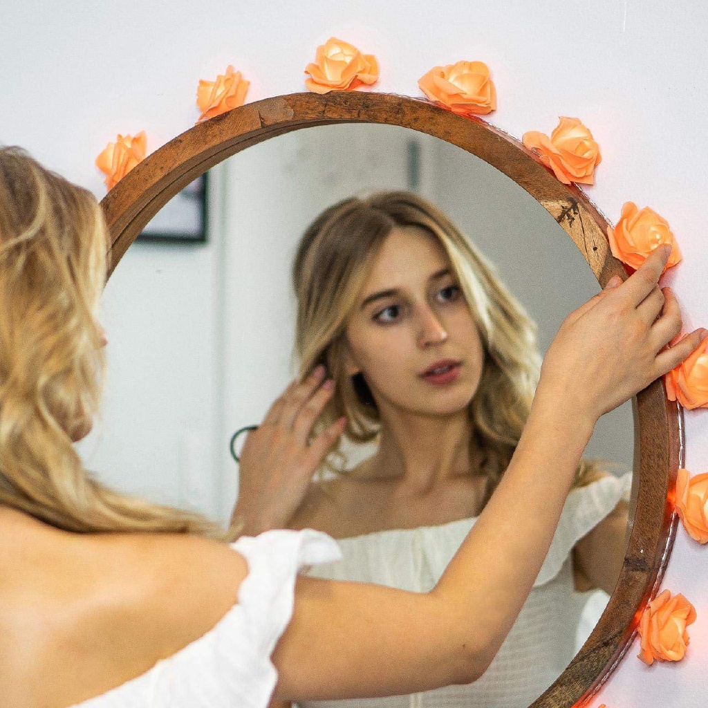 Dây Đèn LED 2.5M 20 Bóng Hình Hoa Hồng Chạy Bằng Pin Dùng Trang Trí Trong Nhà / Ngoài Trời