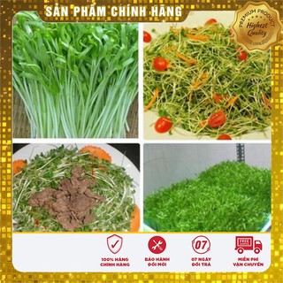 Hạt Giống Rau Mầm Rau Muống(50 gr)