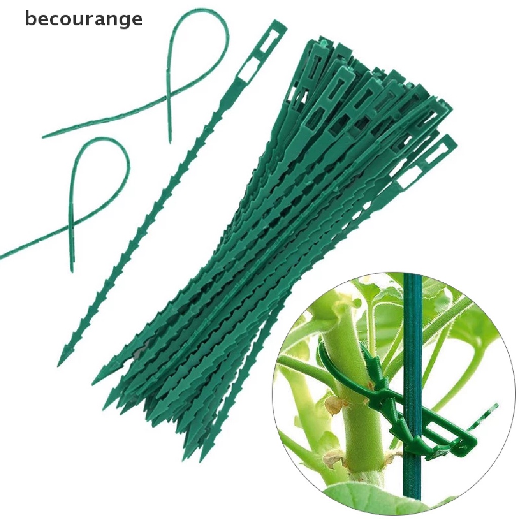 Set 50 / 100 Kẹp Nhựa Hỗ Trợ Có Thể Tái Sử Dụng