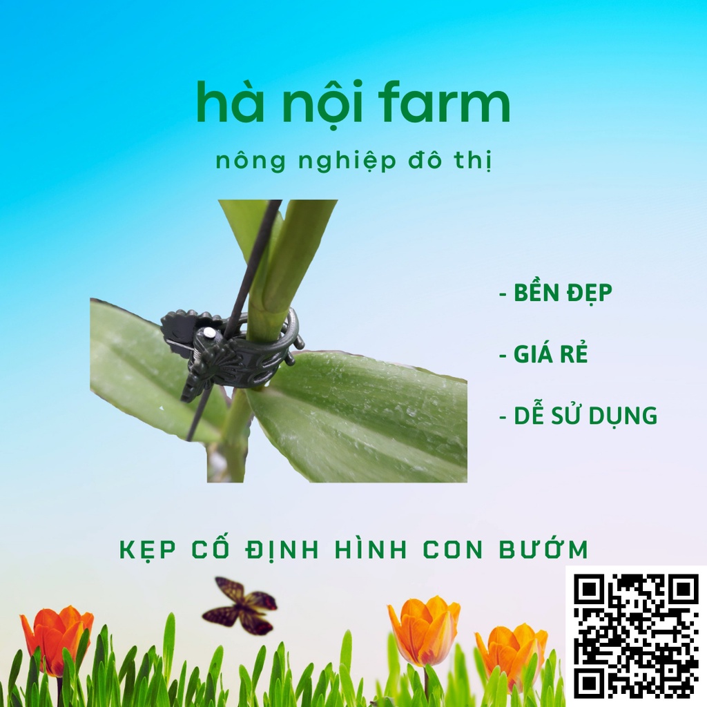 100 kẹp bướm cố định cho lan