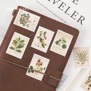Bộ sticker con tem botanical phong cách vintage