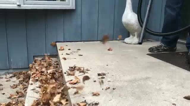 [Chính Hãng][Hoả tốc] Máy Hút Bụi Công Nghiệp Hút Khô Và Ướt USA Stanley SL19116P | BigBuy360 - bigbuy360.vn