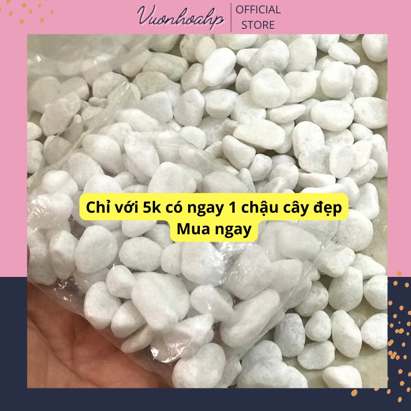 Sỏi trắng trang trí châụ cảnh 300g, sỏi trang trí bể cá, sỏi trắng