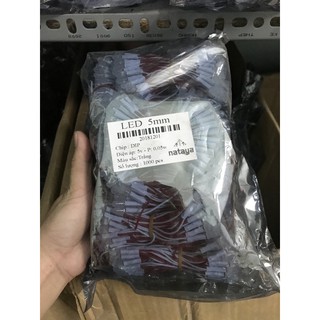 Led ruồi 5v 100 bóng một cuộn