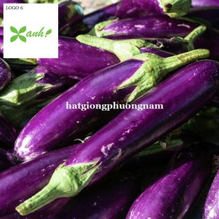 Hạt giống Cà Tím Dài F1 1gram