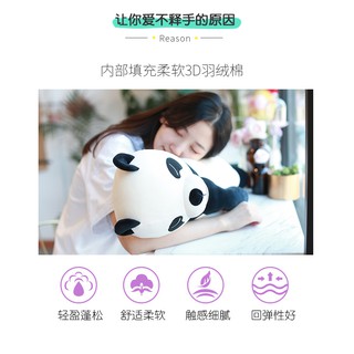 Gấu lười ngủ ngày