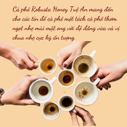 Cà phê Robusta Honey rang xay nguyên chất cafe bột hạt pha máy pha phin Tuệ An | BigBuy360 - bigbuy360.vn