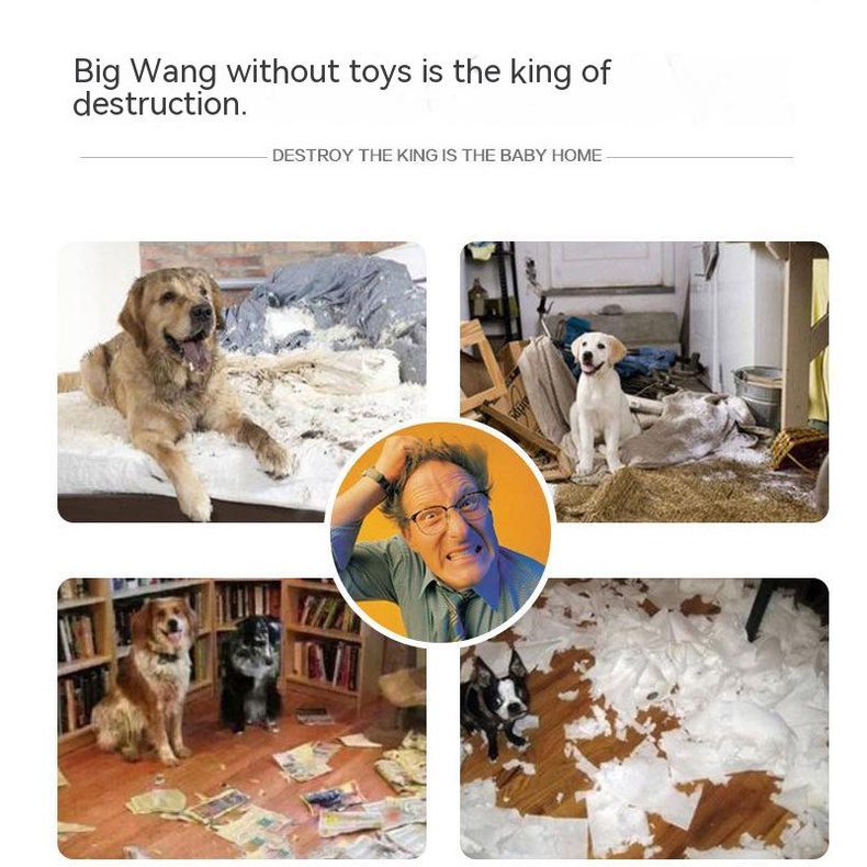 Bộ Đồ Chơi Bằng Vải Bông Phát Ra Âm Thanh Chống Cắn Dành Cho Chó Mèo