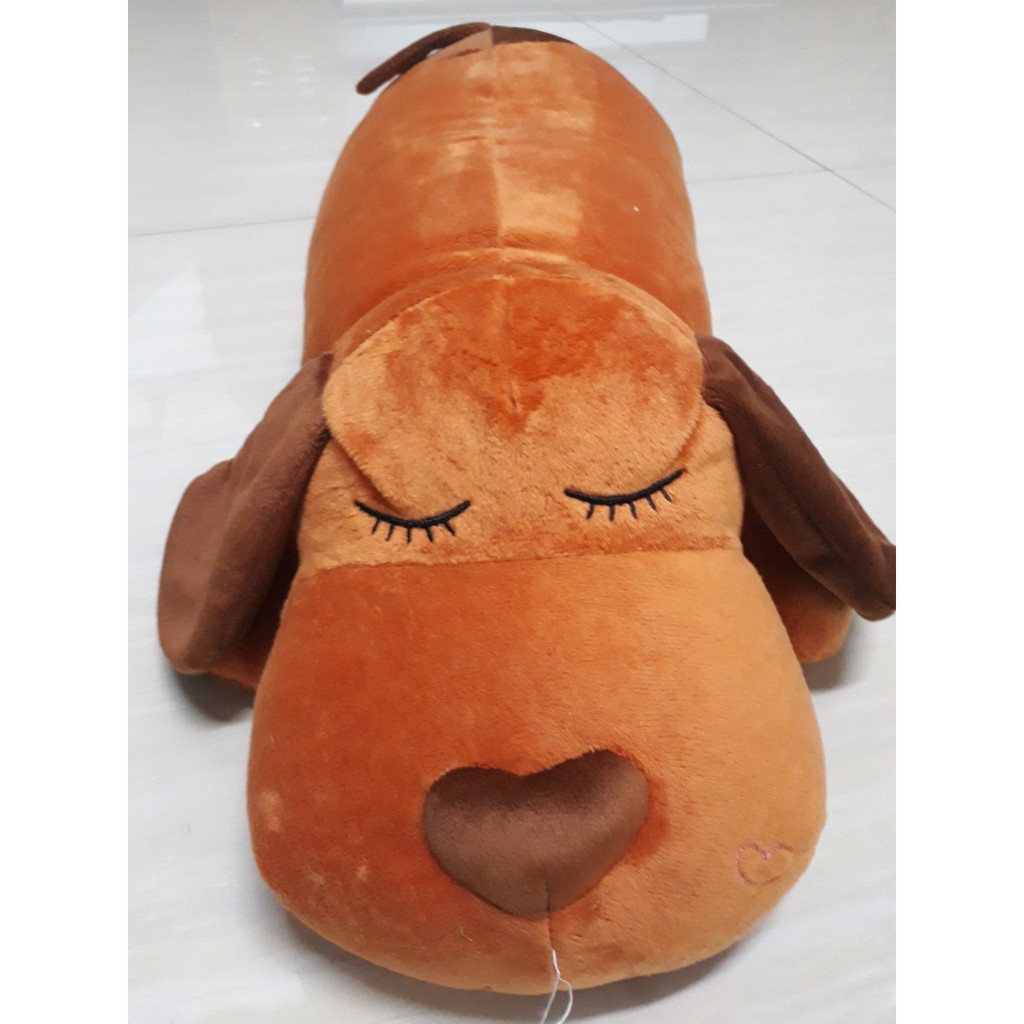 Chó bông tai dài Unidry