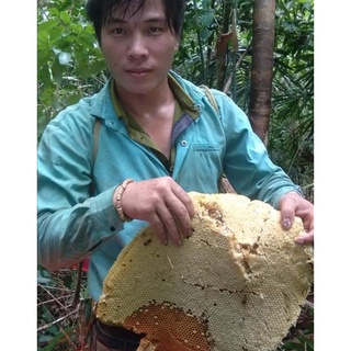 Mật ong rừng nguyên chất 100%