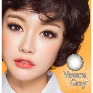 Lens xám Vavara gray có độ cận