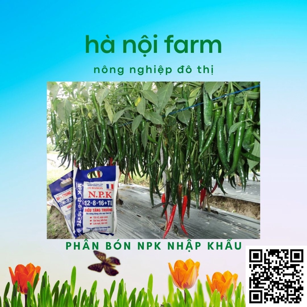Phân bón NPK nhập khẩu 12-8-16+TE, Siêu Tăn Trưởng, Phân bón vi lượng. Gói 500g