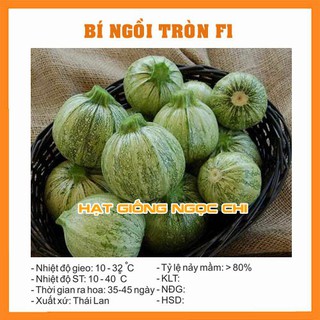 Hạt Giống Bí Ngồi Tròn (Bí Ngòi Tròn) F1 - 10H