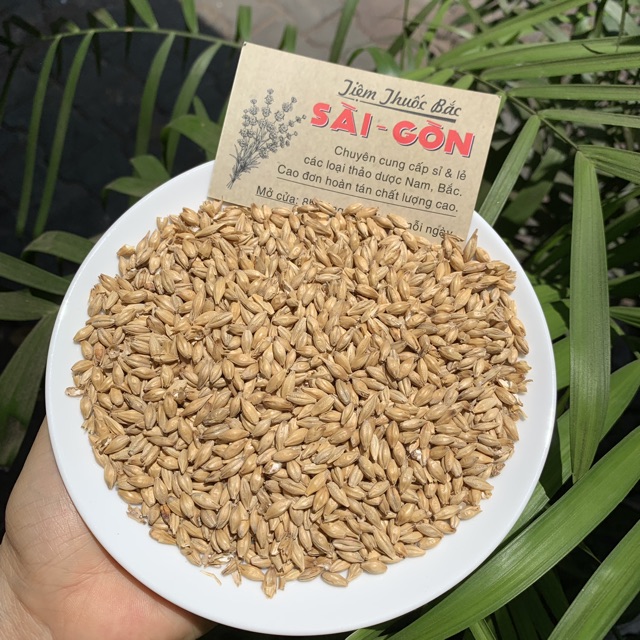 TIỂU MẠCH 100GRAM