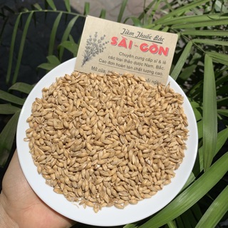 TIỂU MẠCH 100GRAM