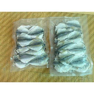 Cá chỉ vàng to dày mình - 1 con