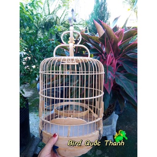 Lồng Vành Khuyên Tre