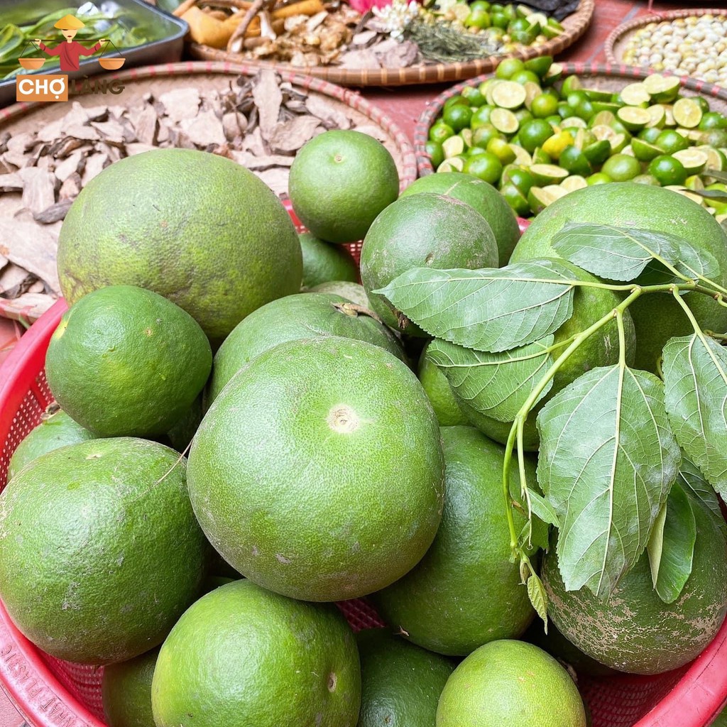 Dầu Gội Bưởi Non [Nguyên Chất Nhà Làm] | BigBuy360 - bigbuy360.vn