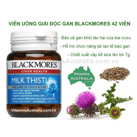 Viên Uống Thải Độc,Hỗ Trợ Phục Hồi,Bảo Vệ Gan Blackmores MILK THISTLE (42 viên).