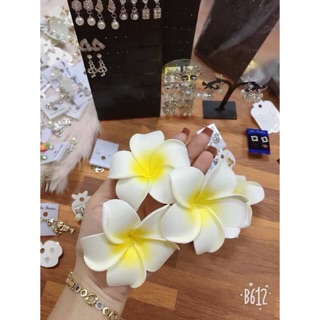 Hoa đại cài tóc đi biển