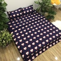 Chăn Ga gối cotton poly