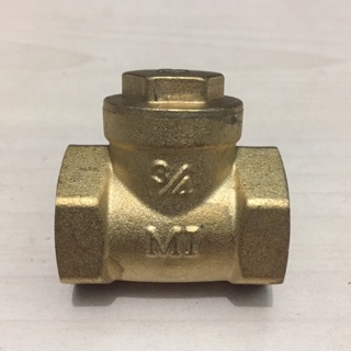 Van 1 chiều đồng lá lật, lò xo phi 21, 27, 34