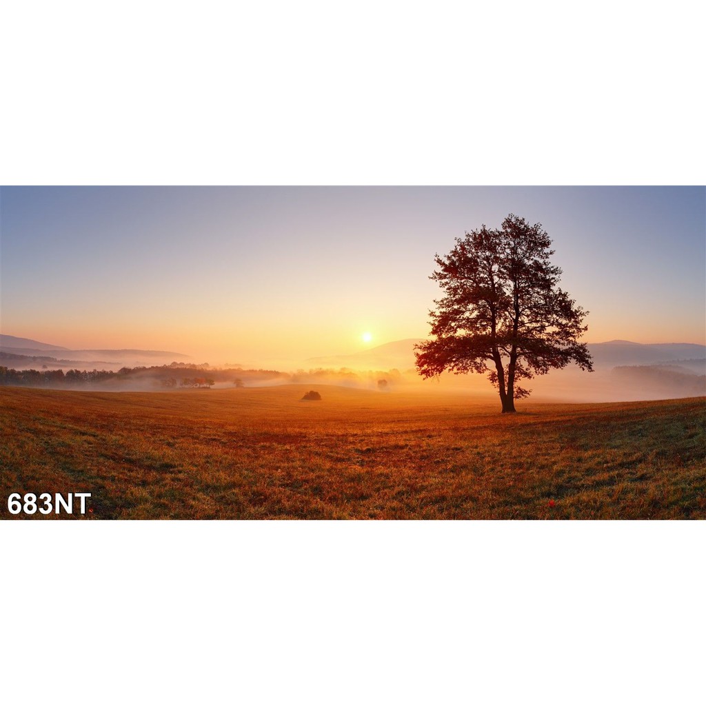 TRANH DÁN TƯỜNG 3D PHONG CẢNH,CẢNH VẬT, CẢNH TRANG TRÍ,THIÊN NHIÊN.